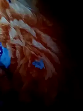 Snapshot of rameshjisex chatting on November 2025 01:17:01 AM rameshjisex online show from November 2025 01:17:01 AM