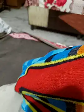 kaif 220 online show from January 2025 01:17:01 PM