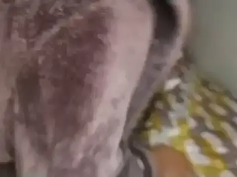 Snapshot of Chandy012 chatting on September 2025 01:12:02 PM Chandy012 online show from September 2025 01:12:02 PM