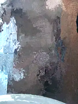 kreisbsb online show from April 2026 12:13:02 AM