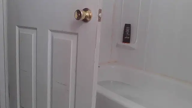 Snapshot of yourcourage1 chatting on October 2025 05:17:02 AM yourcourage1 online show from October 2025 05:17:02 AM