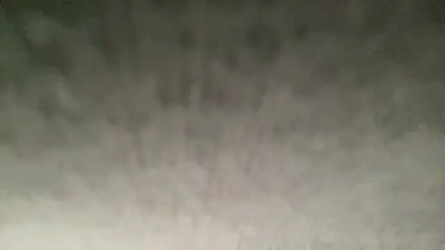 ryan 28747 online show from November 2025 07:38:01 PM