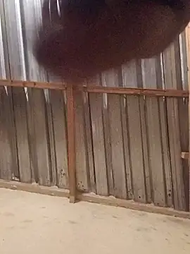 T9nybh3ksta66 online show from September 2025 02:54:02 AM