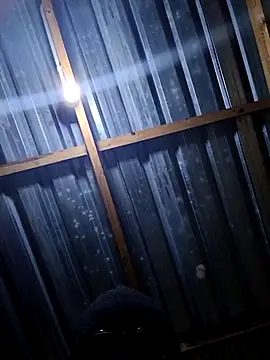 T9nybh3ksta66 online show from February 2026 03:17:01 AM