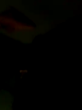 Raj41 online show from January 2026 06:44:02 PM