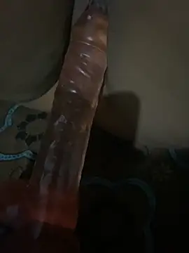 SL Aki online show from April 2026 08:26:01 PM