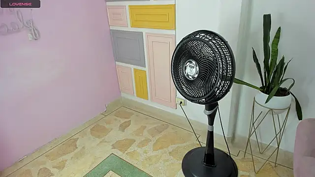 Mara Torres1 online show from March 2025 08:11:01 PM