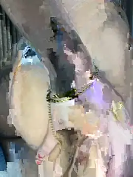 perolaa8 online show from March 2026 05:05:02 PM