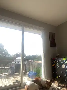 daisydukes666 online show from April 2026 01:26:01 PM