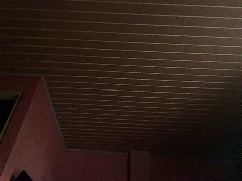 Nooneisthis online show from February 2025 11:34:02 PM