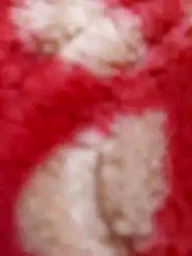 Snapshot of mhmia chatting on February 2025 05:29:01 PM mhmia online show from February 2025 05:29:01 PM