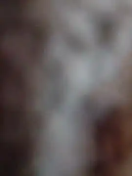 Snapshot of mhmia chatting on February 2026 03:51:01 PM mhmia online show from February 2026 03:51:01 PM