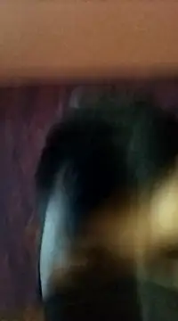 randit7 online show from January 2025 02:42:02 AM