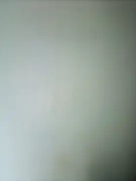 randit7 online show from February 2025 02:53:01 AM