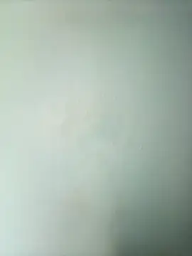 randit7 online show from March 2025 02:19:02 AM