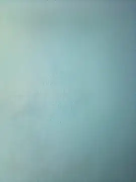 randit7 online show from March 2025 11:53:01 AM