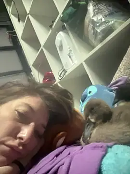 Snapshot of PhattPinxkTaco chatting on March 2026 06:00:01 PM PhattPinxkTaco online show from March 2026 06:00:01 PM