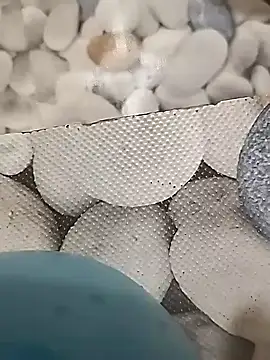 Playboy bhabhi 00 online show from February 2025 08:42:01 AM