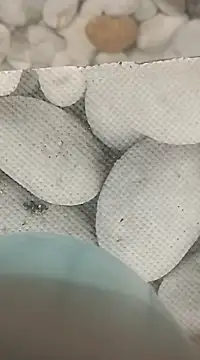 Playboy bhabhi 00 online show from February 2025 08:14:01 AM