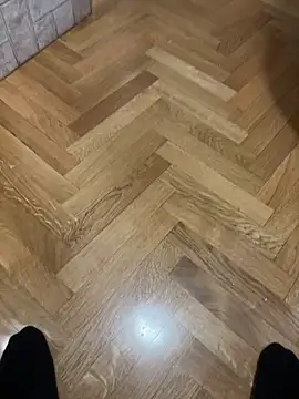 nejdb online show from February 2026 08:15:02 AM