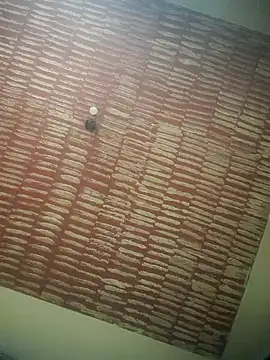 DOMINADOR5 online show from February 2025 04:29:01 PM