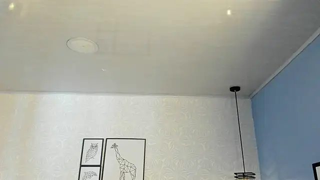 ninna curly online show from March 2026 09:43:01 PM