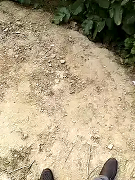 Snapshot of xmanrawan2 chatting on January 2025 10:50:02 AM xmanrawan2 online show from January 2025 10:50:02 AM