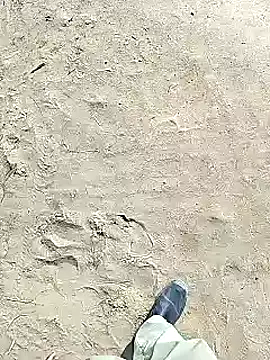 Snapshot of xmanrawan2 chatting on February 2025 06:37:01 AM xmanrawan2 online show from February 2025 06:37:01 AM