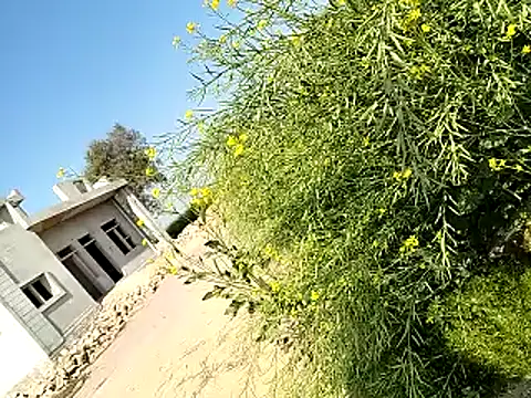 Snapshot of xmanrawan2 chatting on February 2025 06:29:01 AM xmanrawan2 online show from February 2025 06:29:01 AM