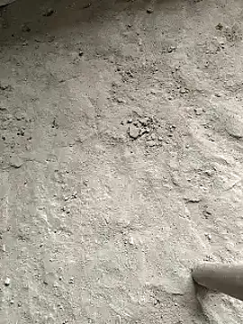 Snapshot of xmanrawan2 chatting on March 2025 11:16:01 AM xmanrawan2 online show from March 2025 11:16:01 AM