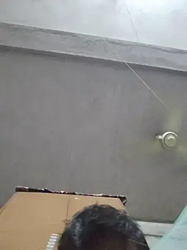 birds0641 online show from October 2025 05:56:01 PM