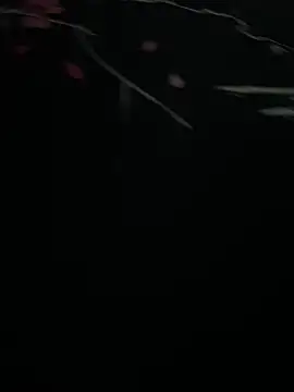 Snapshot of Mo_2003 chatting on January 2025 08:04:01 PM Mo 2003 online show from January 2025 08:04:01 PM