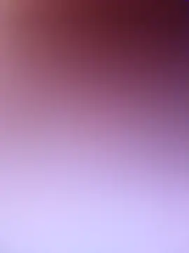 wadmma online show from February 2026 07:48:01 AM