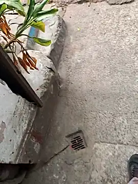 sethgamble000777 online show from December 2025 09:05:02 AM