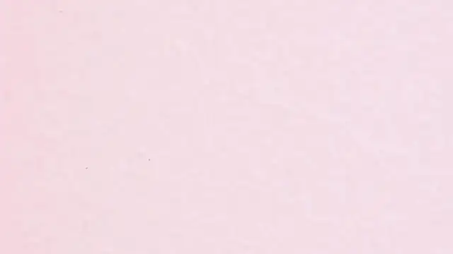 JhoanLeandro online show from April 2026 04:17:02 AM