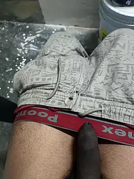 omni 333 online show from February 2026 01:17:01 PM