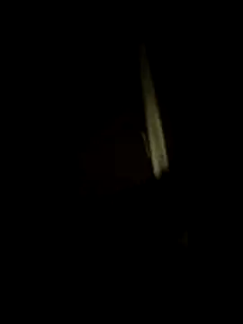 Snapshot of dominationmybigdick chatting on July 2026 10:47:02 PM dominationmybigdick online show from July 2026 10:47:02 PM