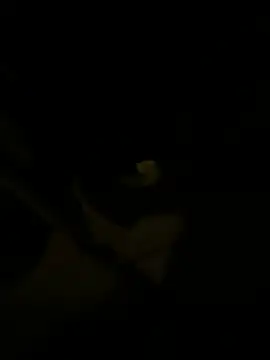 sark0606 online show from February 2025 04:58:02 PM