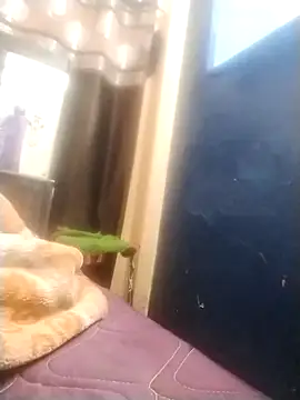 Snapshot of neha007-K chatting on March 2025 07:18:01 PM neha007-K online show from March 2025 07:18:01 PM