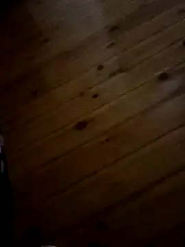 Arabian online show from February 2025 12:41:01 AM