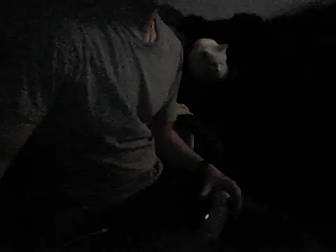 MarioKnero online show from February 2026 09:52:02 AM