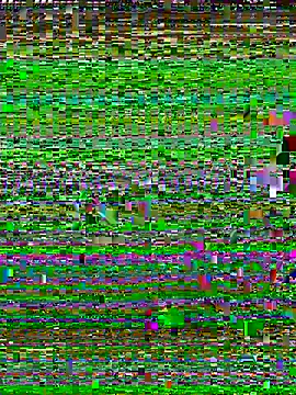 Snapshot of Uncleuncutmushroom chatting on July 2026 07:57:01 AM Uncleuncutmushroom online show from July 2026 07:57:01 AM
