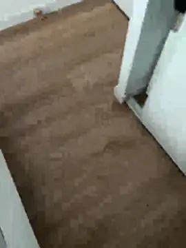 lucas3i online show from April 2026 12:50:01 PM