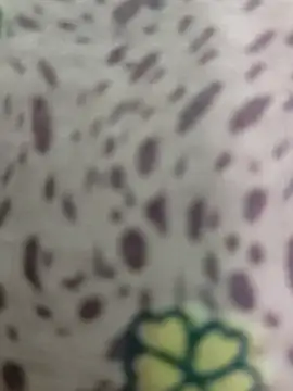 Snapshot of Yashkumar_0697 chatting on March 2025 07:07:02 PM Yashkumar 0697 online show from March 2025 07:07:02 PM