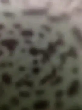 Snapshot of Yashkumar_0697 chatting on October 2025 08:42:02 PM Yashkumar 0697 online show from October 2025 08:42:02 PM