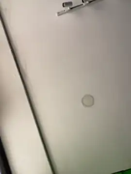 Dulce  Boyd online show from February 2026 02:03:01 PM