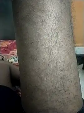 venky2026 online show from September 2025 12:05:02 PM