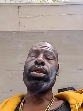 birdg online show from September 2025 04:54:01 PM