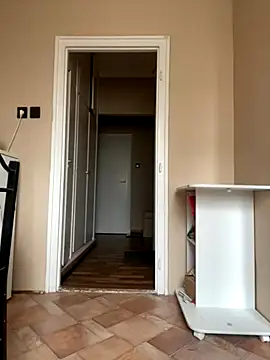 Budibudi5 online show from November 2025 09:11:01 AM