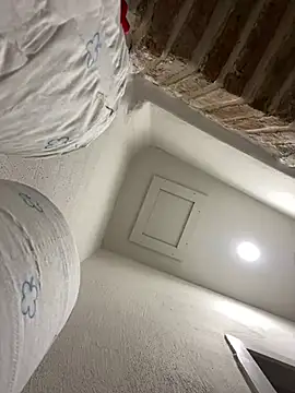 morfeoX online show from March 2025 06:38:02 AM